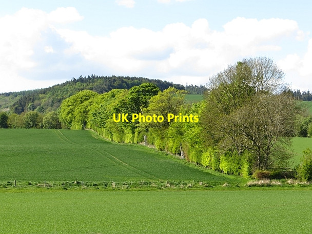 Photo 6"x4" Farmland, Kilmany Kilmany c2013