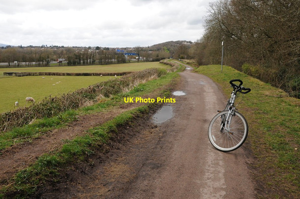 Photo 6"x4" Towpath on the Monmouthshire and Brecon Canal Newport\/Casnewydd c2013