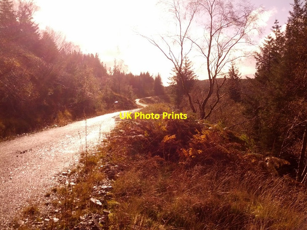 Photo 6"x4" Looking SW down track after rainshower Inchree c2013