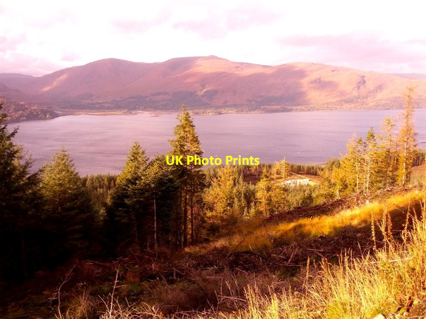 Photo 6"x4" View across Forestry then across Loch Linnhe to Inverscaddle Bay Inchree c2013