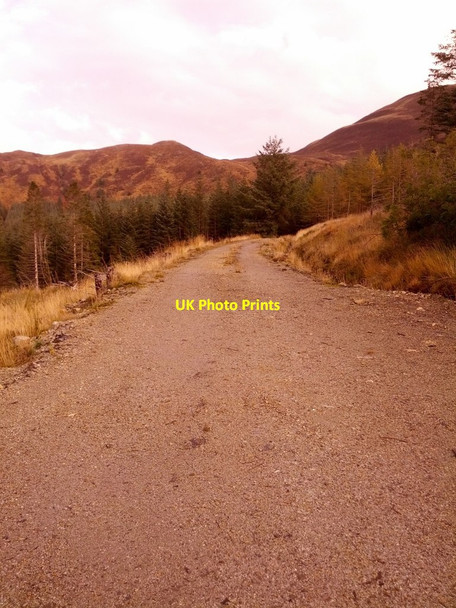 Photo 6"x4" Looking up forestry track towards bealach between Beinn na Gucaig & Beinn Bh\u00c3\u00a0n Inchree c2013