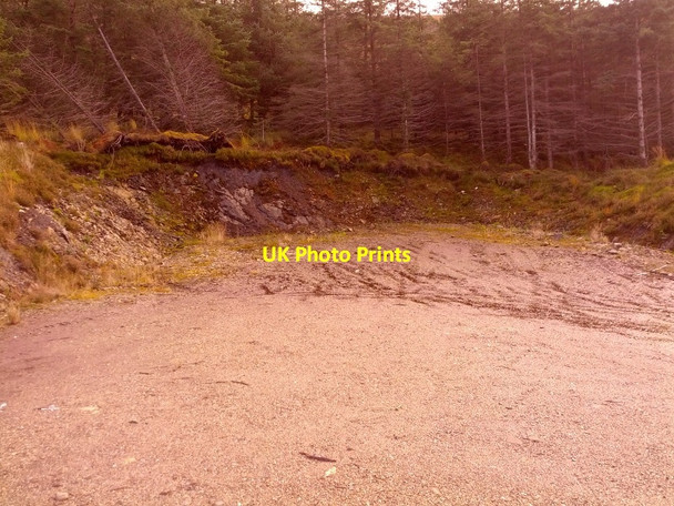 Photo 6"x4" Turning area on track with wind-blown trees Inchree c2013