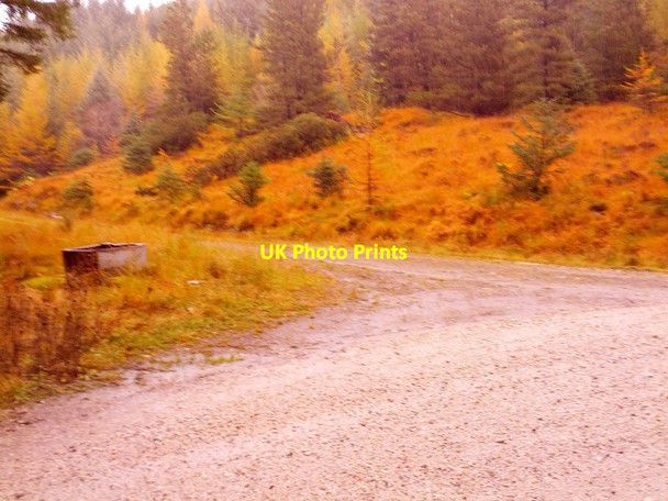 Photo 6"x4" Forestry track junction Inchree c2013 P1