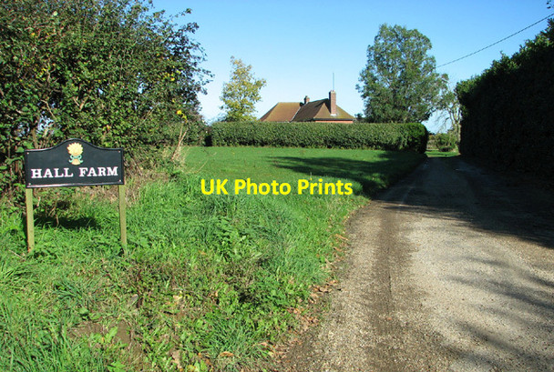 Photo 6"x4" Driveway to Hall Farm from Middle Road, Great Plumstead Great Plumstead c2013