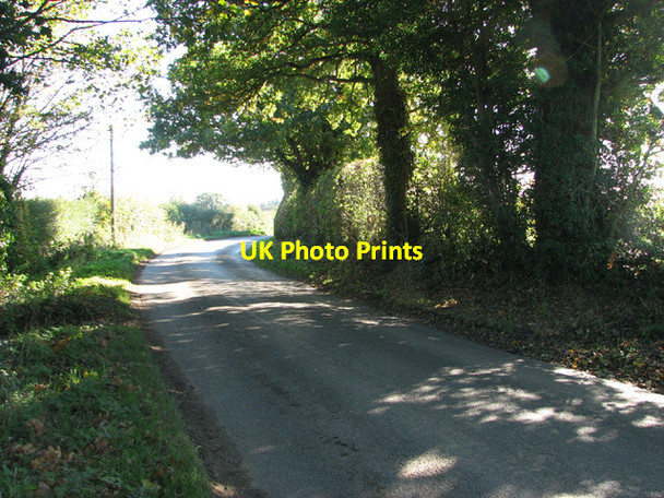 Photo 6"x4" Middle Road, Great Plumstead Great Plumstead c2013