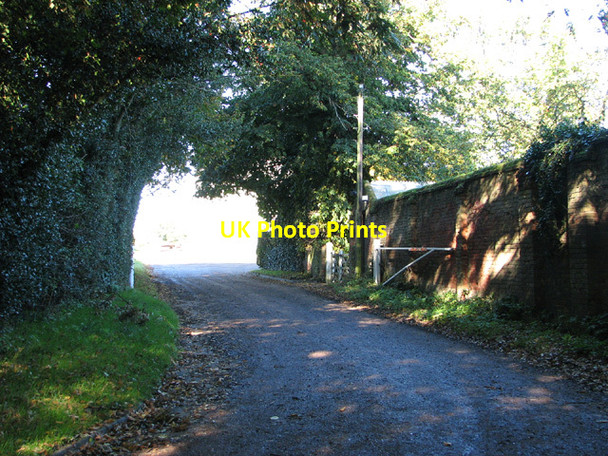 Photo 6"x4" Approach to Manor Farm, Plumstead Green Great Plumstead c2013