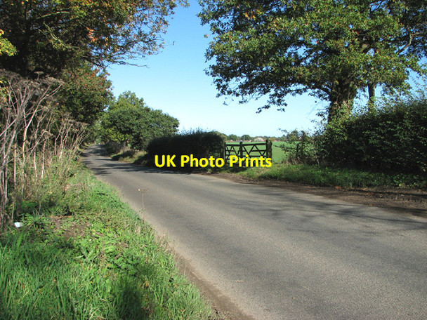 Photo 6"x4" To Little Plumstead on Salhouse Road Blofield Heath c2013
