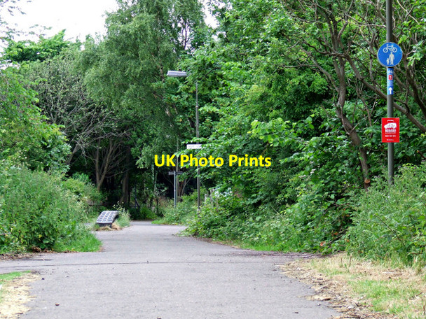 Photo 6"x4" Roseburn Path Craigleith\/NT2374 c2013