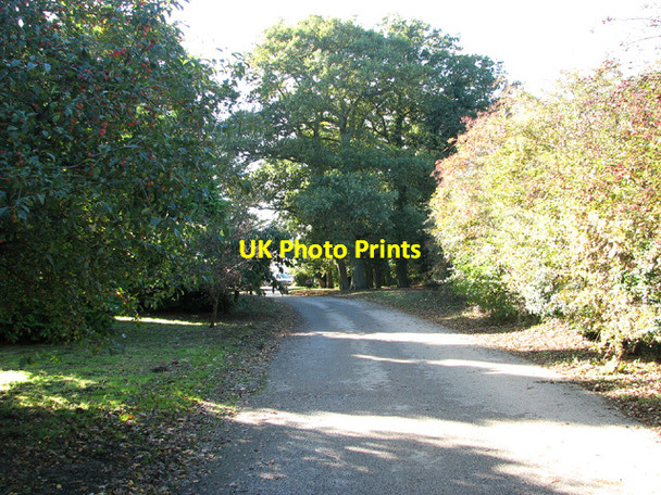 Photo 6"x4" This way to Salhouse Barn Salhouse c2013