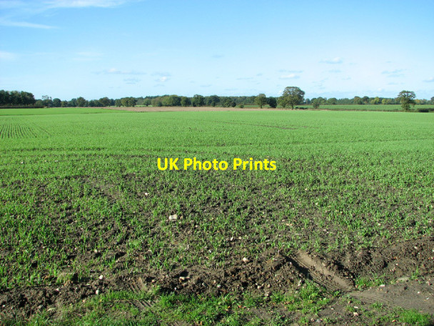 Photo 6"x4" Fields by Primrose Corner Primrose Corner c2013