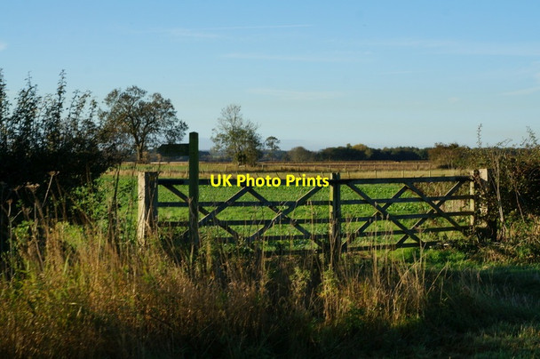 Photo 6"x4" A path leading to Bryan Mills Scorborough c2013