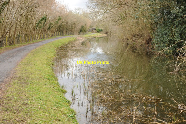 Photo 6"x4" Monmouthshire and Brecon Canal Bettws\/ST2990 c2013