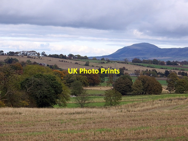 Photo 6"x4" Stubble near Cleish Cleish c2013