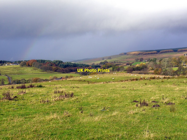 Photo 6"x4" Pasture above Burnmouth Greenhaugh\/NY7987 c2013