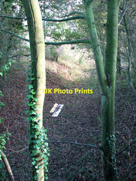 Photo 6"x4" View along dismantled railway trackbed Heydon\/TG1127 c2013