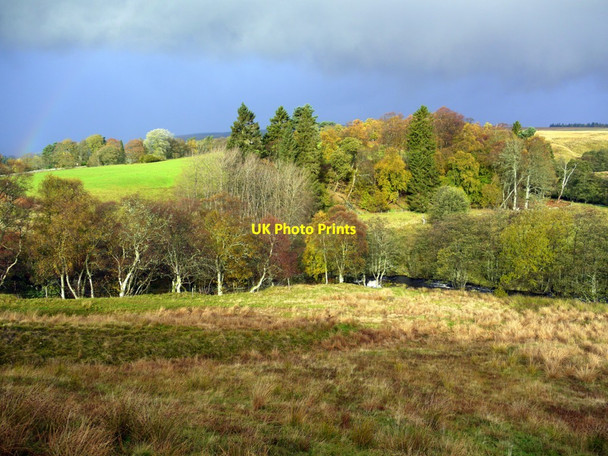 Photo 6"x4" Tarret Burn Greenhaugh\/NY7987 c2013