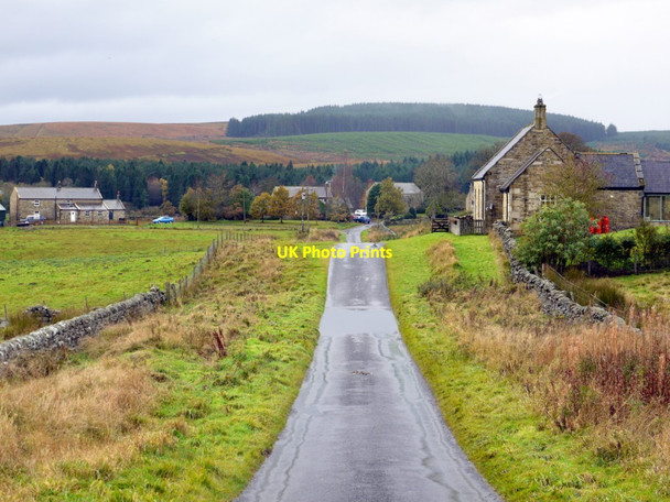 Photo 6"x4" Road to Gatehouse Greenhaugh\/NY7987 c2013