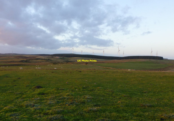 Photo 6"x4" Looking north west from Camp Hill North Charlton c2013
