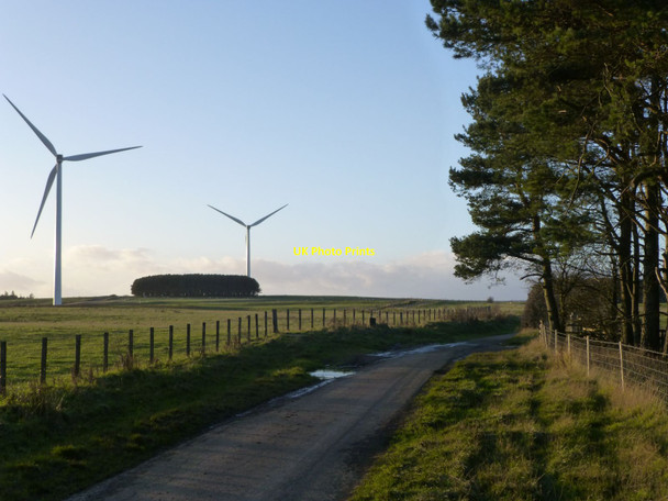 Photo 6"x4" Looking from Peter's Wood North Charlton c2013