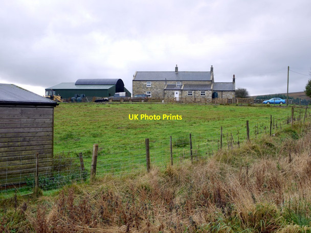 Photo 6"x4" Gatehouse Farm Greenhaugh\/NY7987 c2013