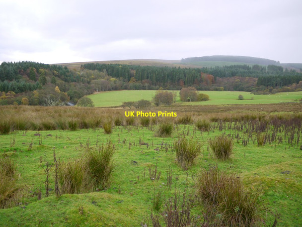Photo 6"x4" Pasture above Tarset Burn Greenhaugh\/NY7987 c2013