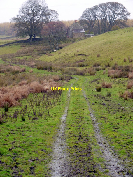 Photo 6"x4" Newbiggin near Gleedlee Greenhaugh\/NY7987 c2013