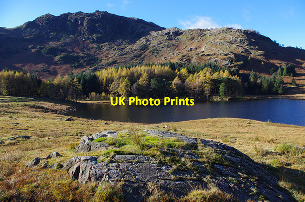 Photo 6"x4" Blea Tarn Little Langdale c2013