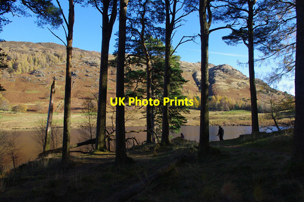 Photo 6"x4" Blea Tarn Little Langdale c2013 P2