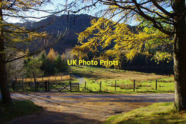 Photo 6"x4" Footpath to Blea Tarn Little Langdale c2013