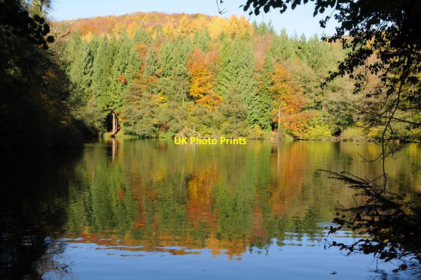 Photo 6"x4" Autumn colours, Woodchester Park Nailsworth c2013