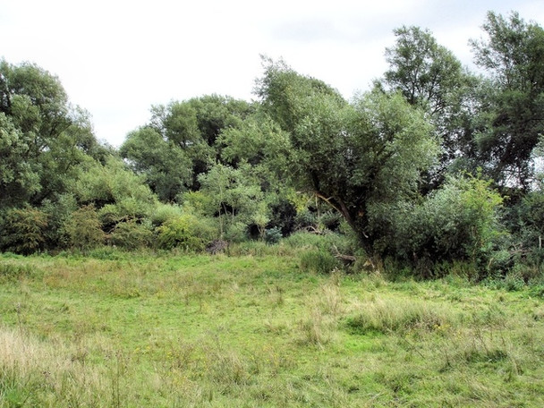 Photo 6"x4" Christleton - footpath 20 Huntington\/SJ4264 c2008