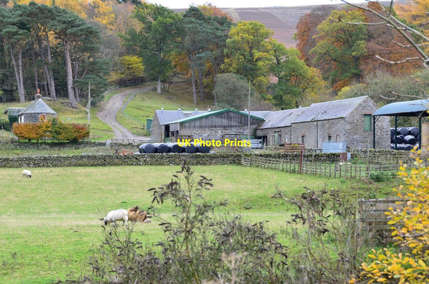 Photo 6"x4" Buildings at Dawyck Mill Bellspool c2013