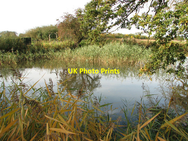 Photo 6"x4" Pond south of The Elms Waterloo\/TM4293 c2013