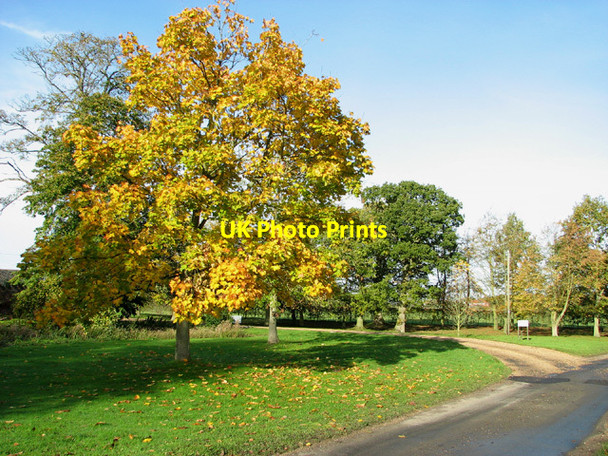 Photo 6"x4" Autumn colours beside Elms Road Waterloo\/TM4293 c2013
