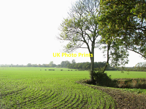 Photo 6"x4" Fields by Waterheath Toft Monks c2013