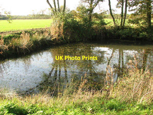 Photo 6"x4" Small pond beside Waterheath Road Toft Monks c2013