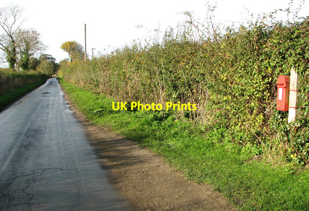 Photo 6"x4" View along Waterheath Road Toft Monks c2013