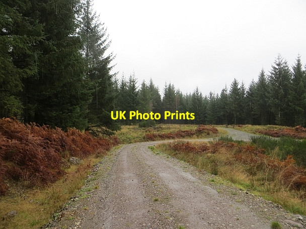 Photo 6"x4" Logging road, Loch Ard Forest Kirkton\/NN5100 c2013