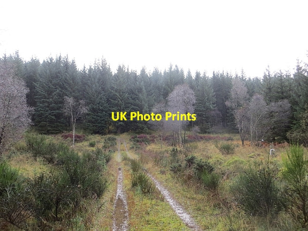 Photo 6"x4" Track, Loch Ard Forest Gartmore c2013