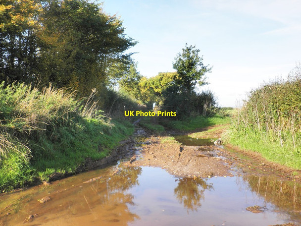 Photo 6"x4" Waterlogged farm track Hillfarrance c2013
