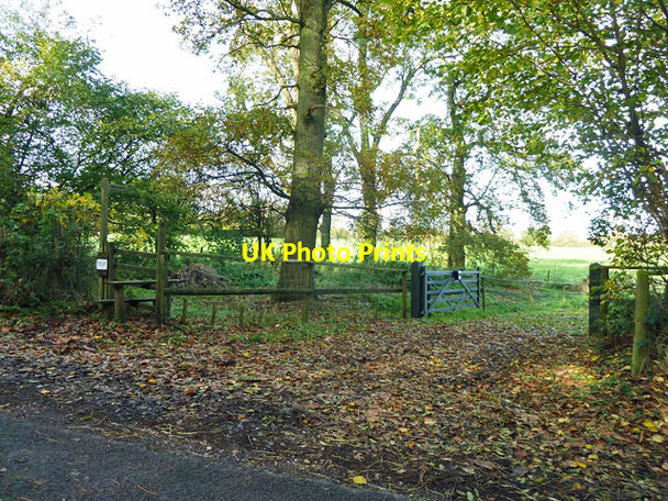 Photo 6"x4" Start of footpath towards Lower Farringdon Hawthorn\/SU6733 c2013