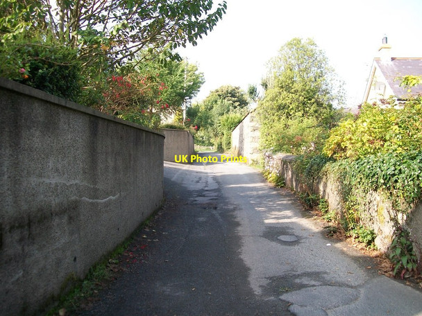 Photo 6"x4" The entrance to Wild Forest Lane from Tollymore Road  Newcastle\/J3732 c2013