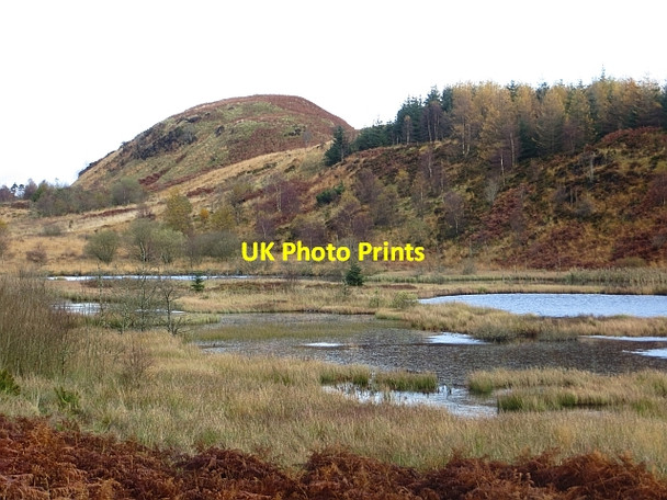 Photo 6"x4" Wetland, Loch Ard Forest Lime Hill c2013