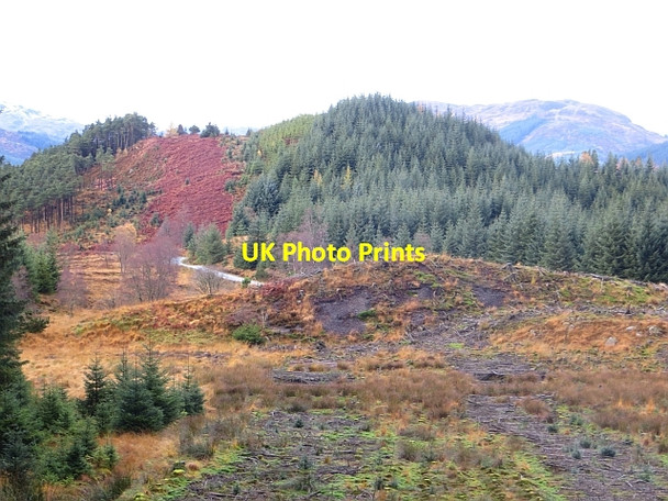Photo 6"x4" Loch Ard Forest Maol an Iaruinn c2013