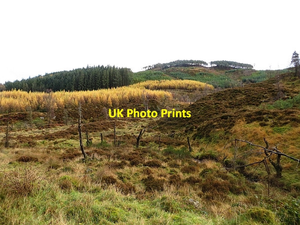 Photo 6"x4" Loch Ard Forest Kinlochard c2013