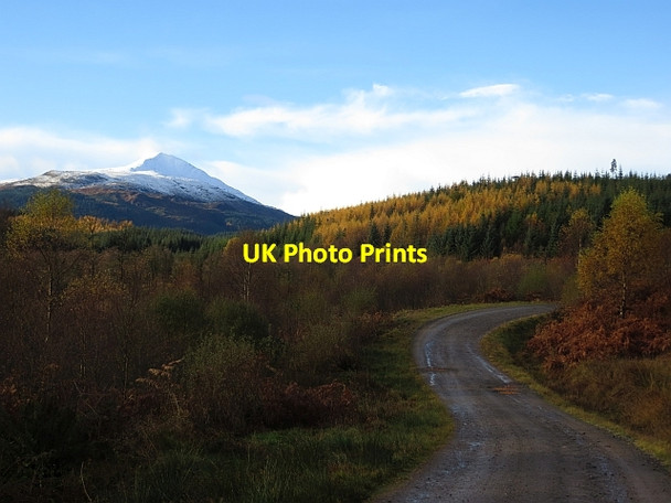 Photo 6"x4" Road, Loch Ard Forest Kinlochard c2013