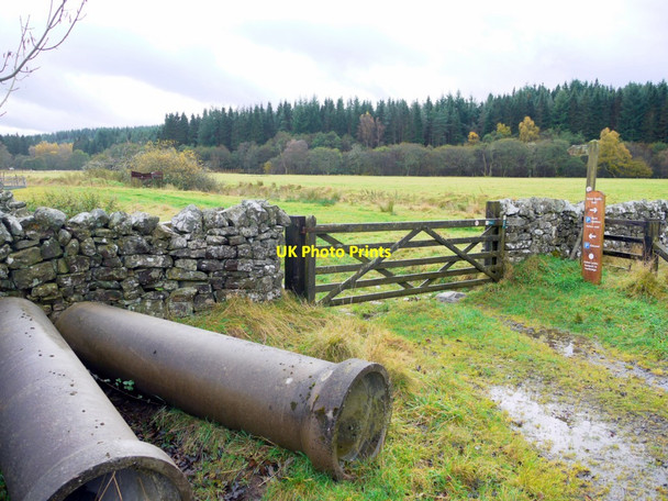 Photo 6"x4" Footpath to Sidwood Greenhaugh\/NY7987 c2013