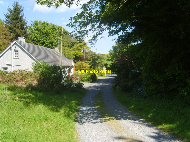 Photo 6"x4" The Drumbuck Road Lodge of the Castlewellan Demesne Annsborough c2013