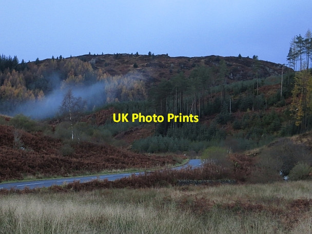Photo 6"x4" Achray Forest Milton\/NN5001 c2013