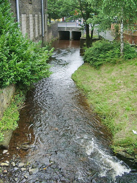 Photo 6"x4" River Darwen Darwen c2008